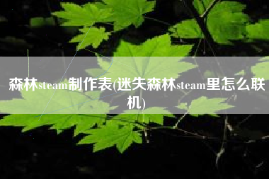 森林steam制作表(迷失森林steam里怎么联机)