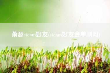 萧瑟steam好友(steam好友会单删吗)