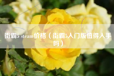 街霸5 steam价格（街霸5入门版值得入手吗）