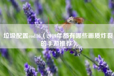 垃圾配置cod16（2019年都有哪些画质炸裂的手游推荐）