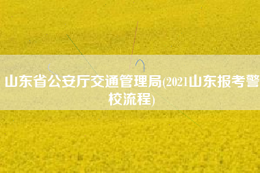 山东省公安厅交通管理局(2021山东报考警校流程)