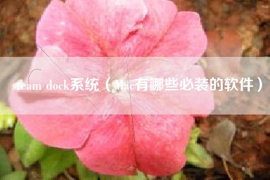 steam dock系统（Mac有哪些必装的软件）