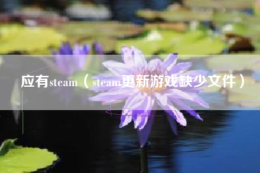 应有steam（steam更新游戏缺少文件）