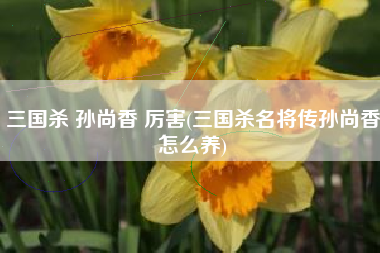 三国杀 孙尚香 厉害(三国杀名将传孙尚香怎么养)