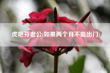 虎艳芬老公(如果两个月不能出门)