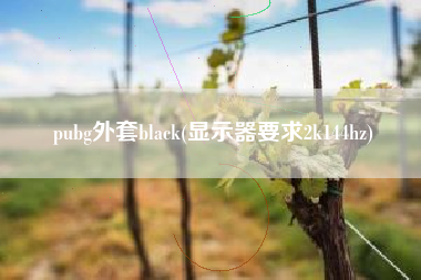 pubg外套black(显示器要求2k144hz)