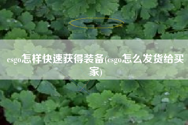 csgo怎样快速获得装备(csgo怎么发货给买家)