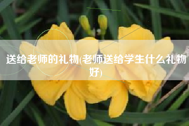 送给老师的礼物(老师送给学生什么礼物好)