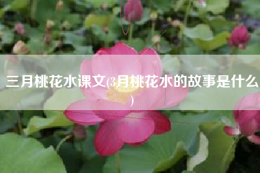 三月桃花水课文(3月桃花水的故事是什么)