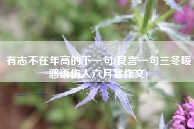 有志不在年高的下一句(良言一句三冬暖恶语伤人六月寒作文)