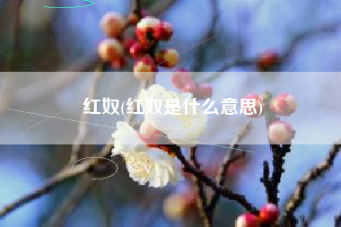 红奴(红奴是什么意思)