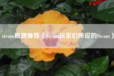 steam概要推荐（Steam玩家们所说的Steam）