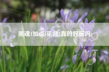 黑魂1加点(巫师3真的好玩吗)