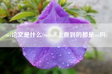 sci论文是什么(scihub上查到的都是sci吗)