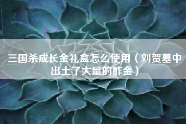 三国杀成长金礼盒怎么使用（刘贺墓中出土了大量的酢金）