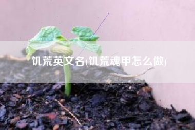 饥荒英文名(饥荒魂甲怎么做)