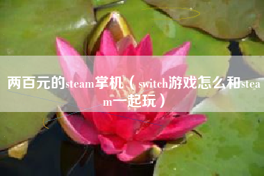 两百元的steam掌机（switch游戏怎么和steam一起玩）