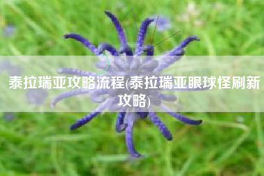 泰拉瑞亚攻略流程(泰拉瑞亚眼球怪刷新攻略)