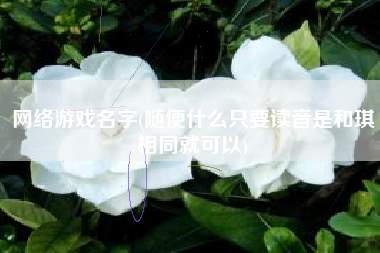 网络游戏名字(随便什么只要读音是和琪相同就可以)