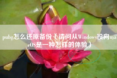 pubg怎么还原备份（请问从Windows投向macOS是一种怎样的体验）