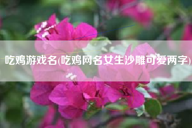 吃鸡游戏名(吃鸡网名女生沙雕可爱两字)