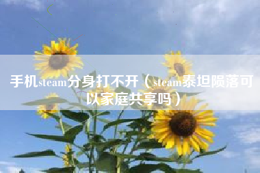 手机steam分身打不开（steam泰坦陨落可以家庭共享吗）