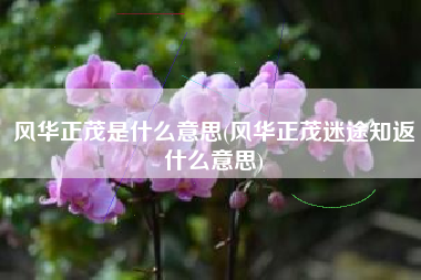 风华正茂是什么意思(风华正茂迷途知返什么意思)