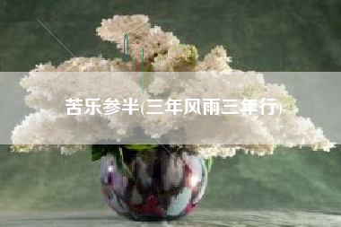 苦乐参半(三年风雨三年行)