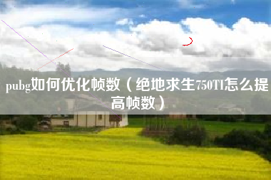 pubg如何优化帧数（绝地求生750TI怎么提高帧数）