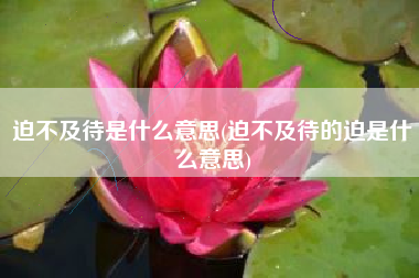 迫不及待是什么意思(迫不及待的迫是什么意思)