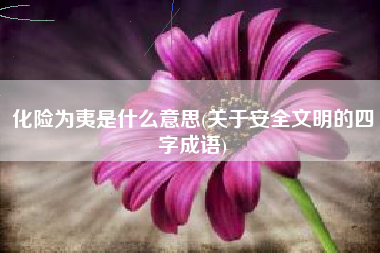 化险为夷是什么意思(关于安全文明的四字成语)