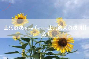 士兵游戏steam（steam士兵闯关游戏叫什么）