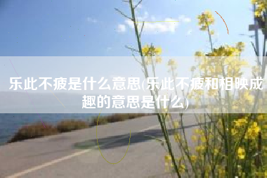 乐此不疲是什么意思(乐此不疲和相映成趣的意思是什么)