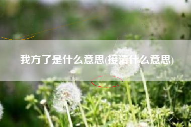 我方了是什么意思(接清什么意思)