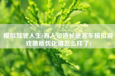 模拟驾驶人生(有人知道长途客车模拟游戏画质优化得怎么样了)