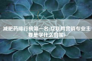 减肥药排行榜第一名(互联网营销专业主要是学什么的呢)