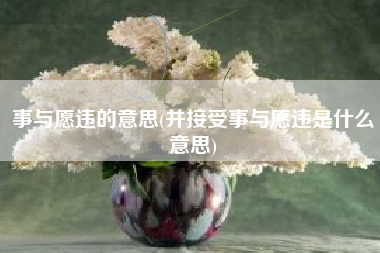 事与愿违的意思(并接受事与愿违是什么意思)