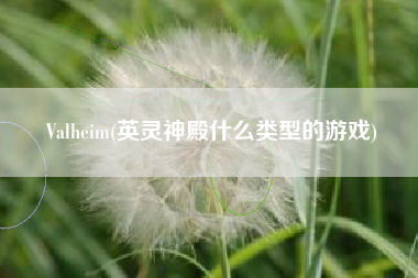 Valheim(英灵神殿什么类型的游戏)