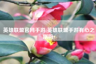 英雄联盟官网手游(英雄联盟手游有心之刚吗)