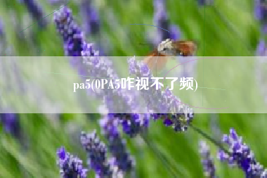 pa5(0PA5咋视不了频)