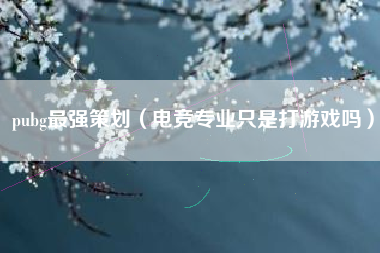 pubg最强策划（电竞专业只是打游戏吗）