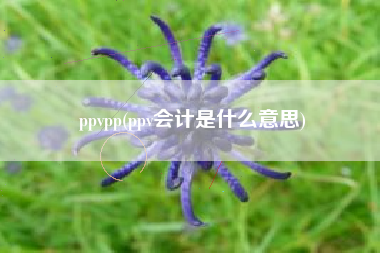 ppvpp(ppv会计是什么意思)