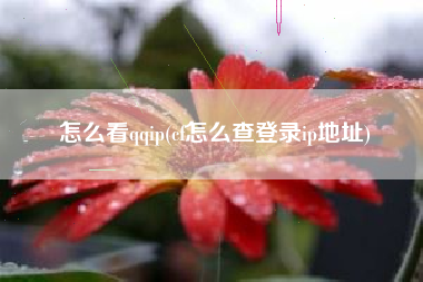 怎么看qqip(cf怎么查登录ip地址)