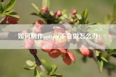 如何制作ppt(ppt不会做怎么办)