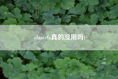 cfaa(cfa真的没用吗)