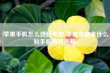 苹果手机怎么连接电脑(苹果电脑拿什么和手机有线连接)