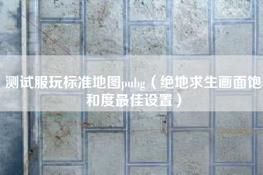 测试服玩标准地图pubg（绝地求生画面饱和度最佳设置）