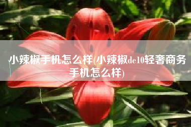 小辣椒手机怎么样(小辣椒de10轻奢商务手机怎么样)