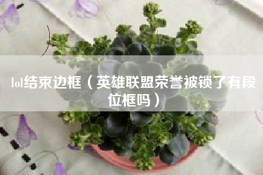 lol结束边框（英雄联盟荣誉被锁了有段位框吗）