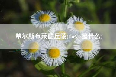 希尔斯布莱德丘陵(tbc9sr是什么)